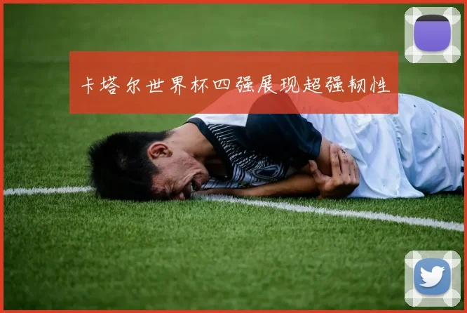 卡塔尔世界杯四强展现超强韧性