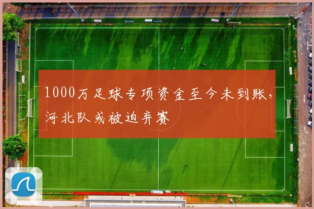 1000万足球专项资金至今未到账，河北队或被迫弃赛